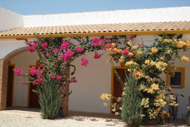 Finca Las Gateras Villa Villamartín Exterior photo